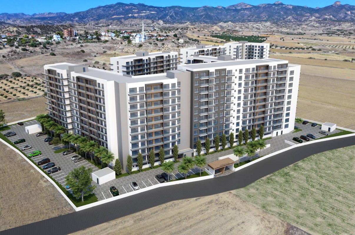 photo_2025-05-01 17.22.04